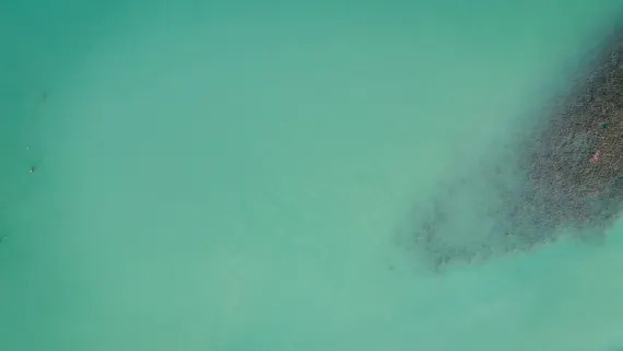 Casino Lucky Luke Soporte